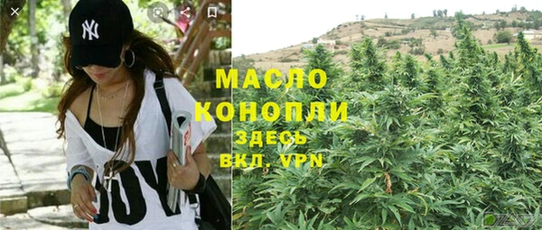 мдпв Ладушкин