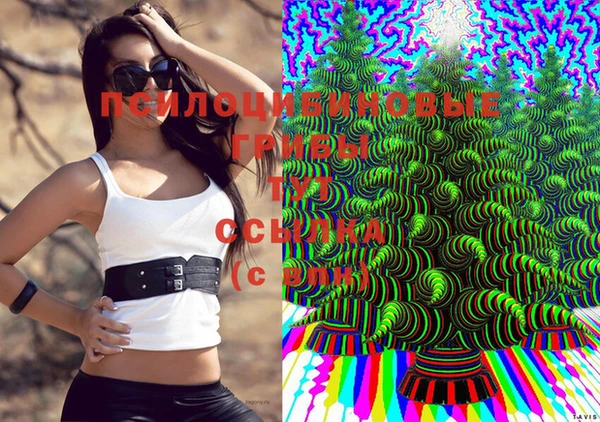 тгк Лабытнанги