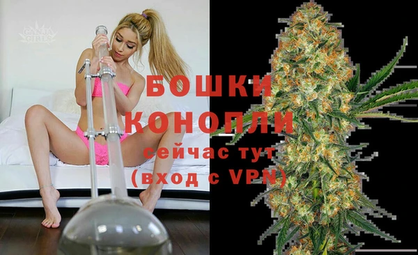 прущие грибы Лагань