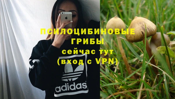 мдпв Ладушкин