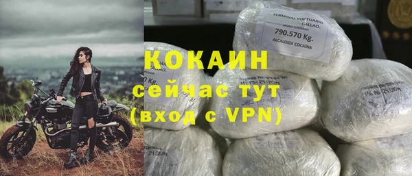 мдпв Ладушкин
