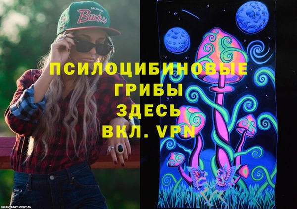 мдпв Ладушкин