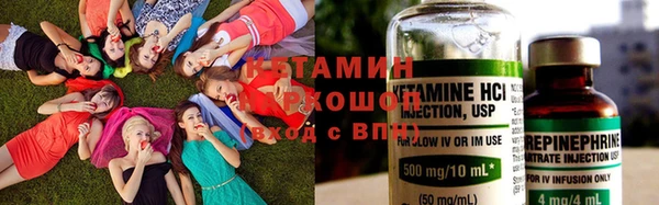 прущие грибы Лагань